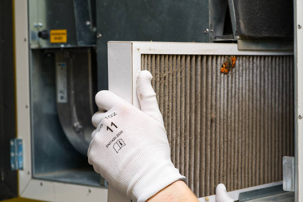Air Duct Mold Removal in MD